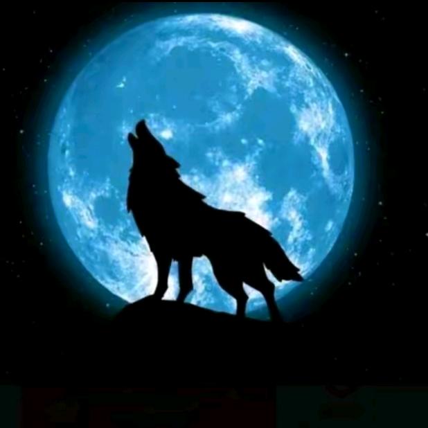 ꫛꫀꪝ愙ᥫᩣ໌້ᮨℛ꧔歖