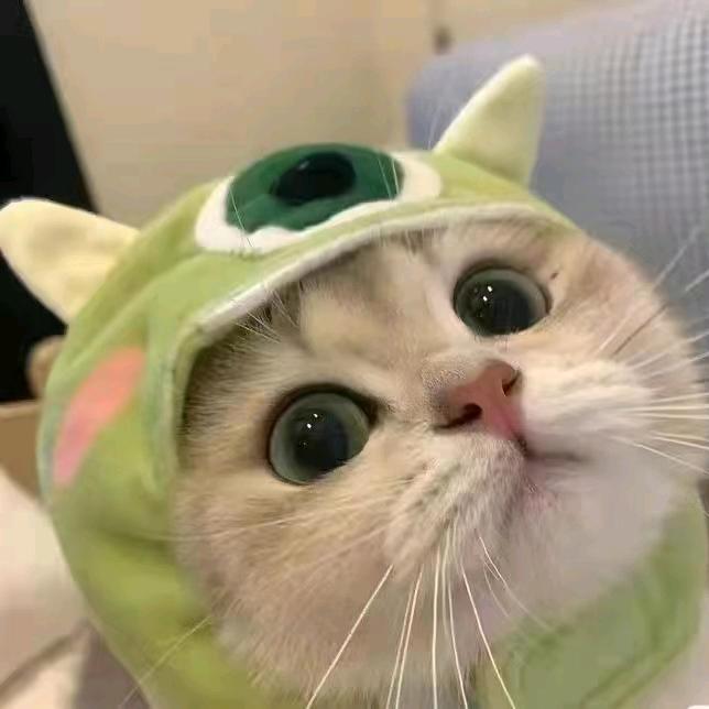 好久不见