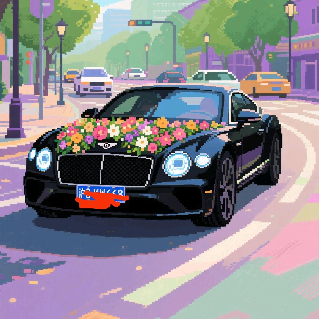 臻爱租车