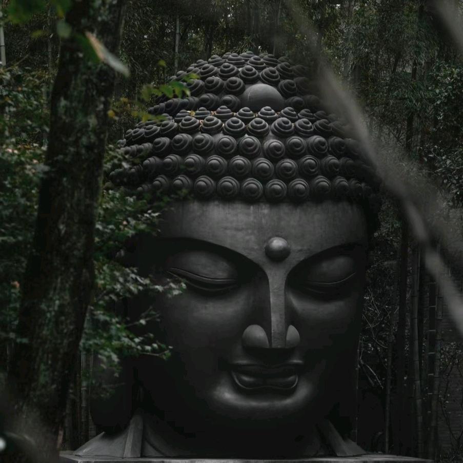 祁 晓 鑫