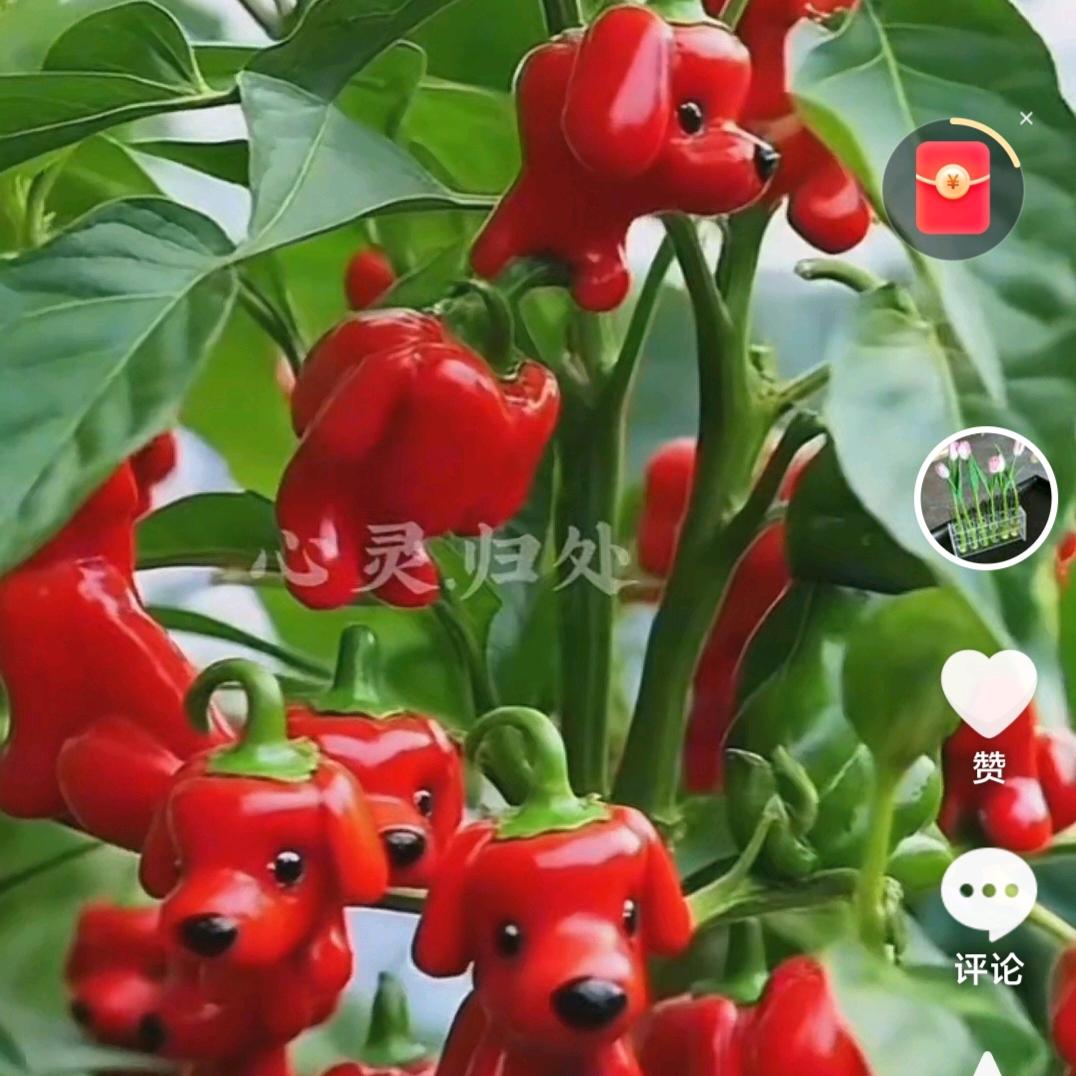 孤独人