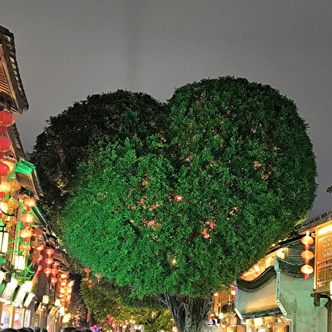 情歌翻唱☞搬砖者☜