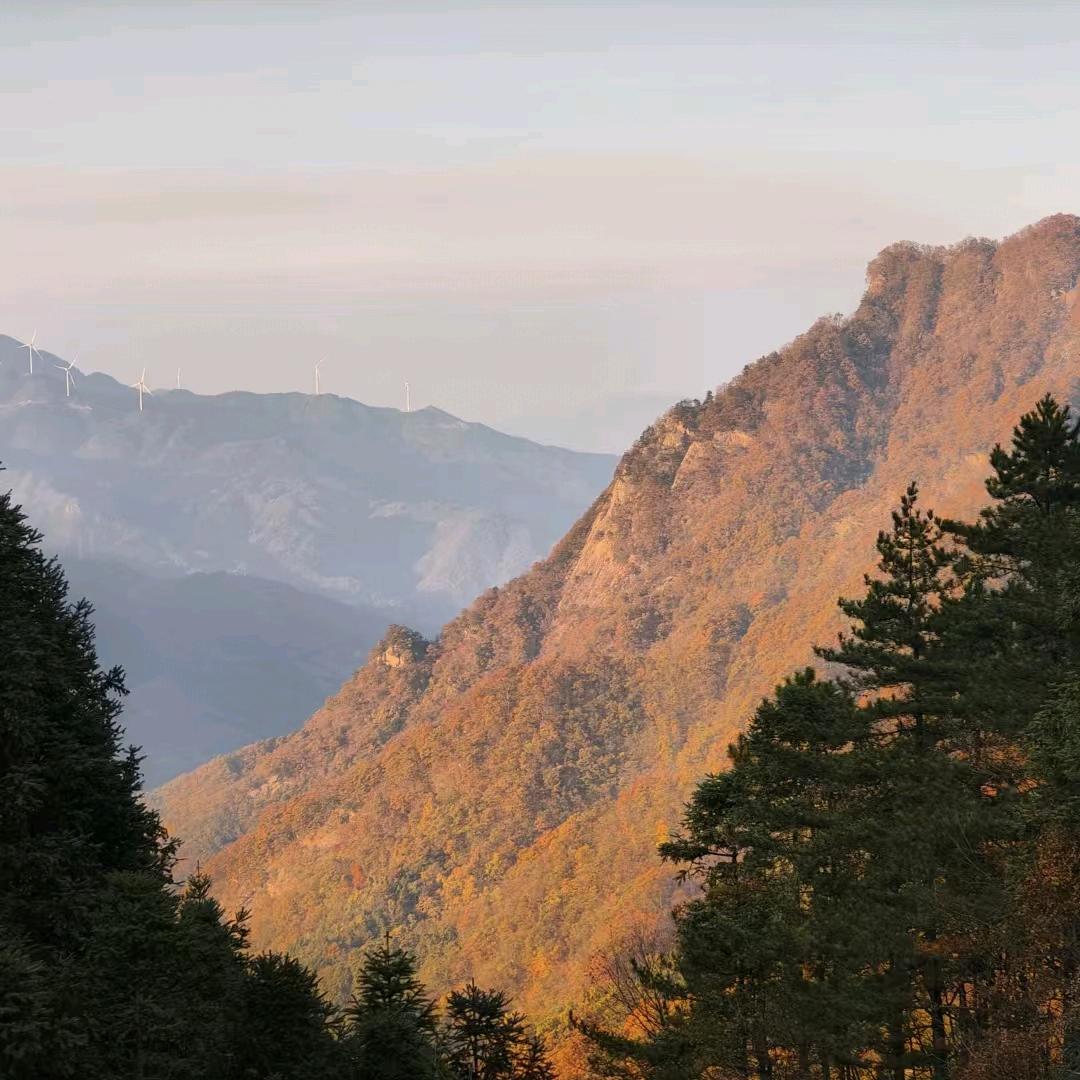 大别山农家乐民宿包吃住旅居疗养