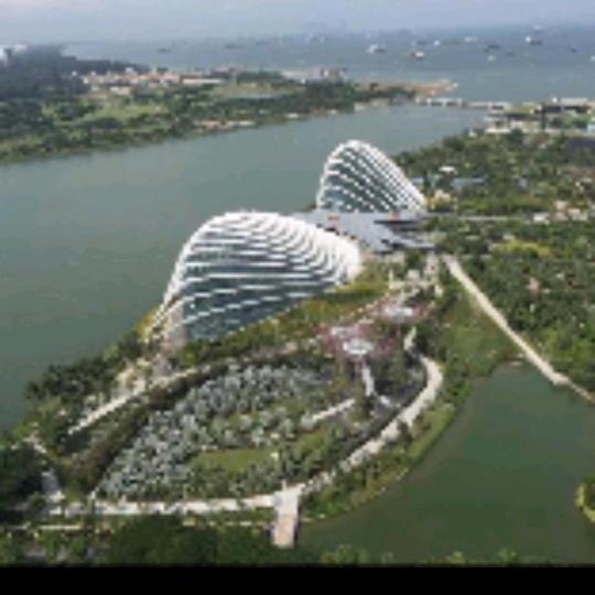 晓那个琴