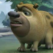 一锅炖不下的二哈