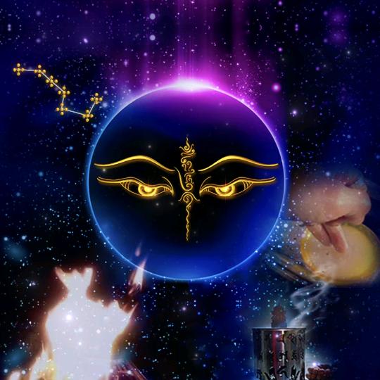 👌臣仆臣仆🙏