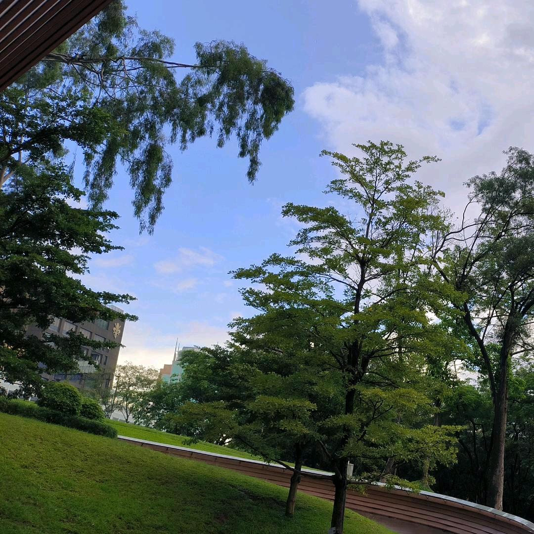 岁月静好