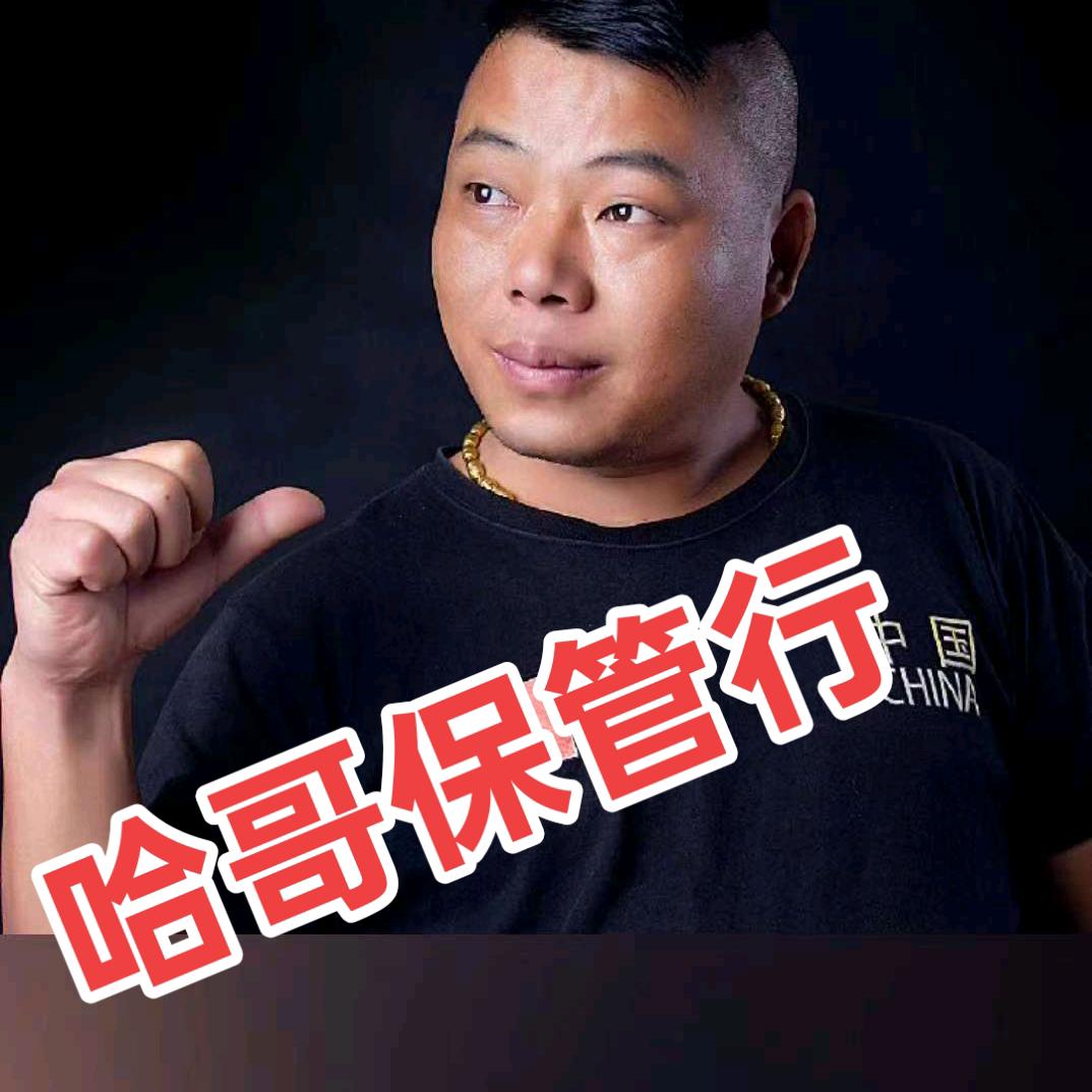 杨哈哥保管行《二手车》