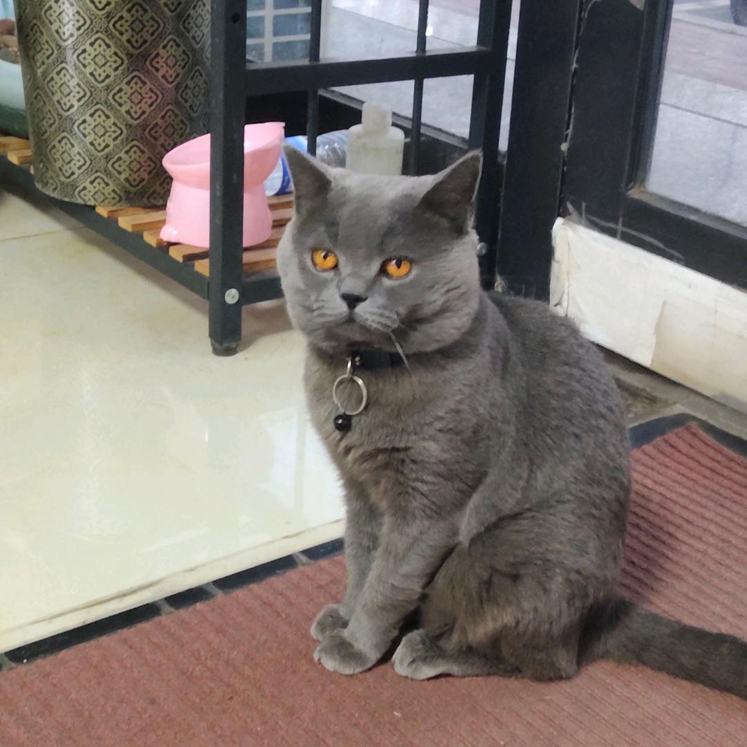 糖💕