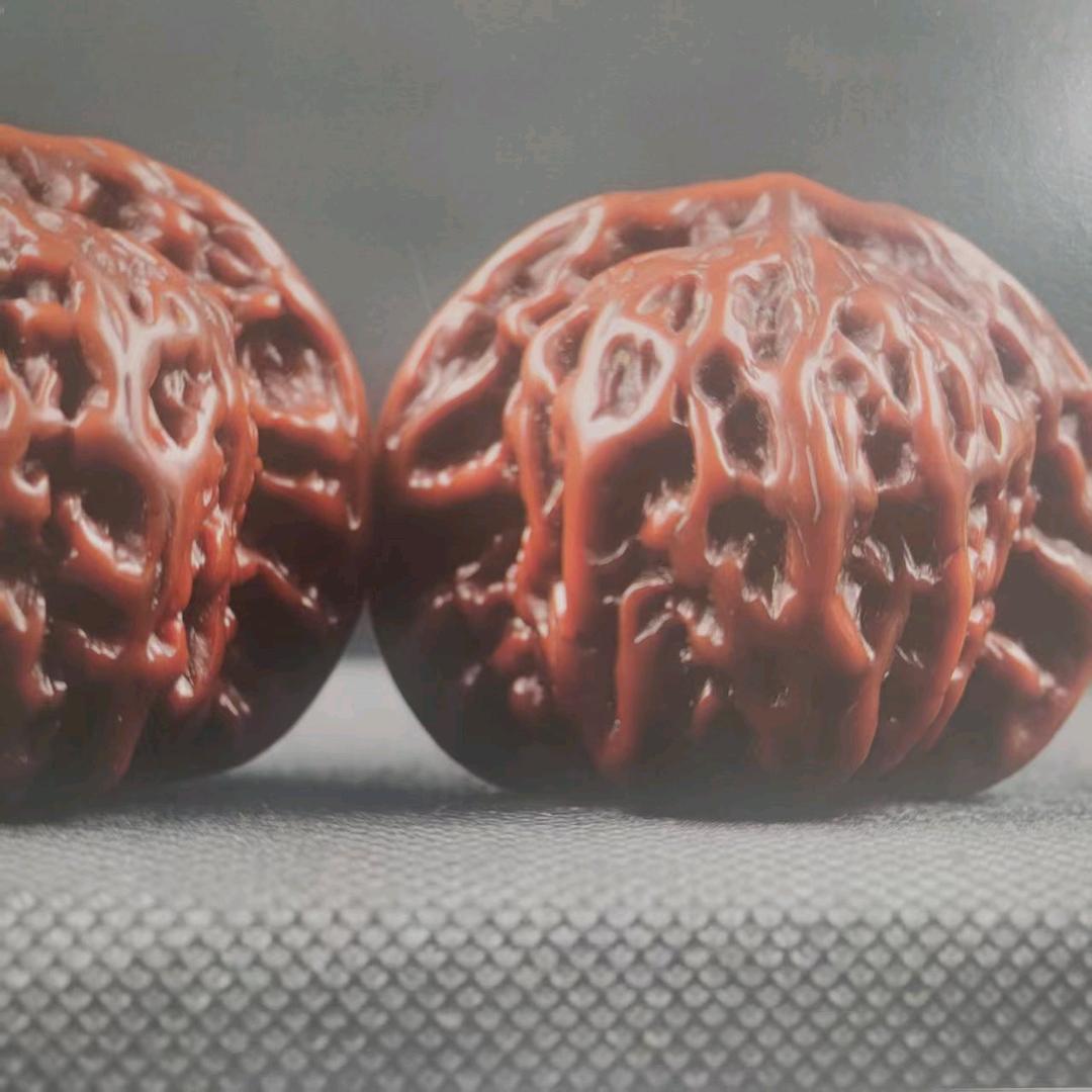 核小二的奇妙宝藏屋