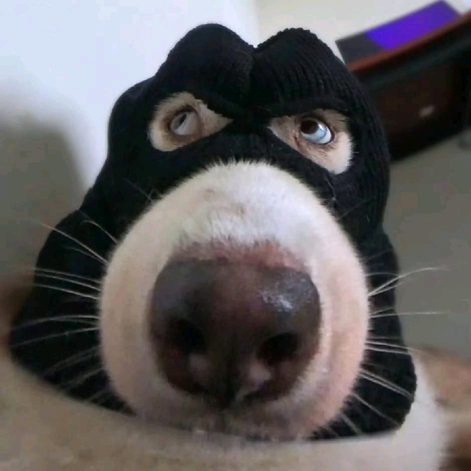 程.