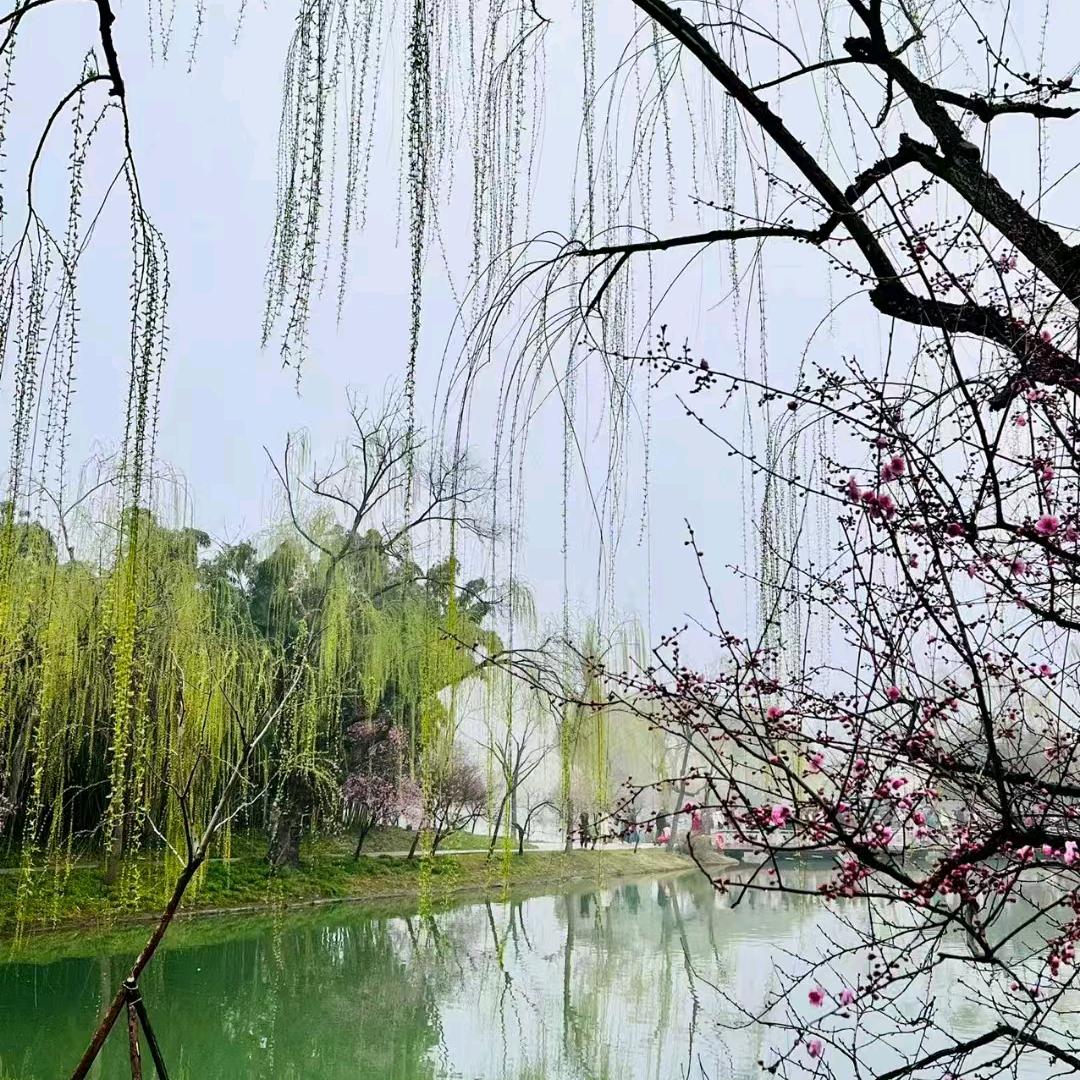 丞丞麻麻