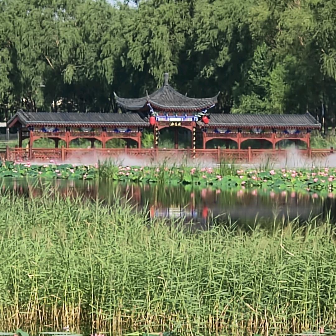 放下，随缘