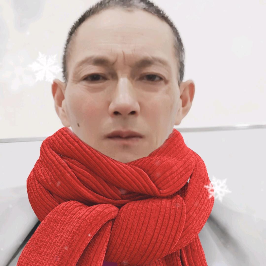 老实人