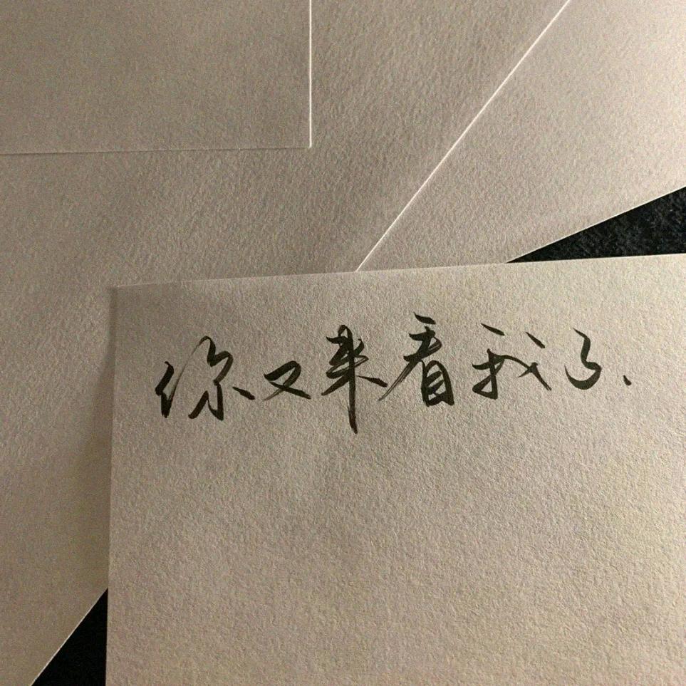 七七