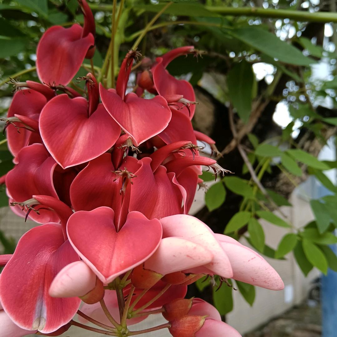 &幸@福*迷$了@路&