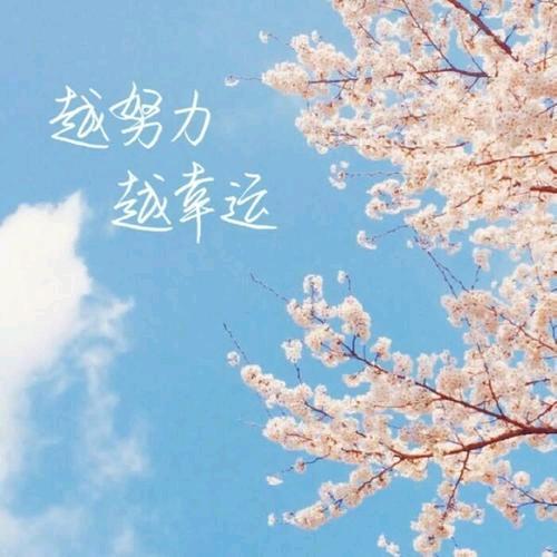 奶茶
