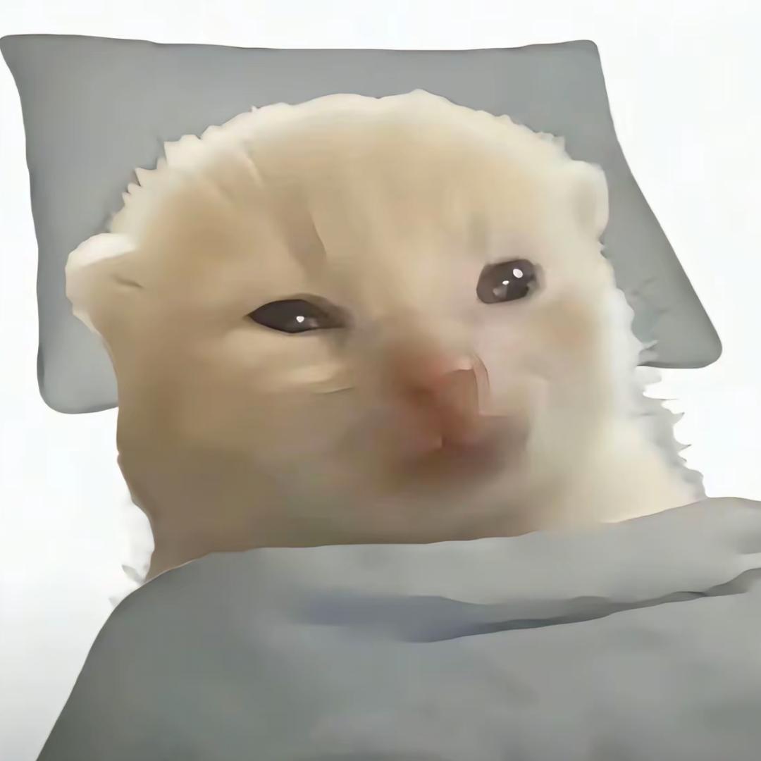 小猫柠檬