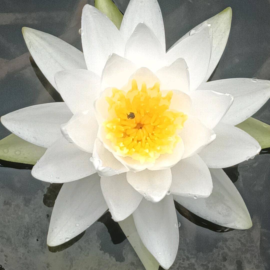 找有缘分的人