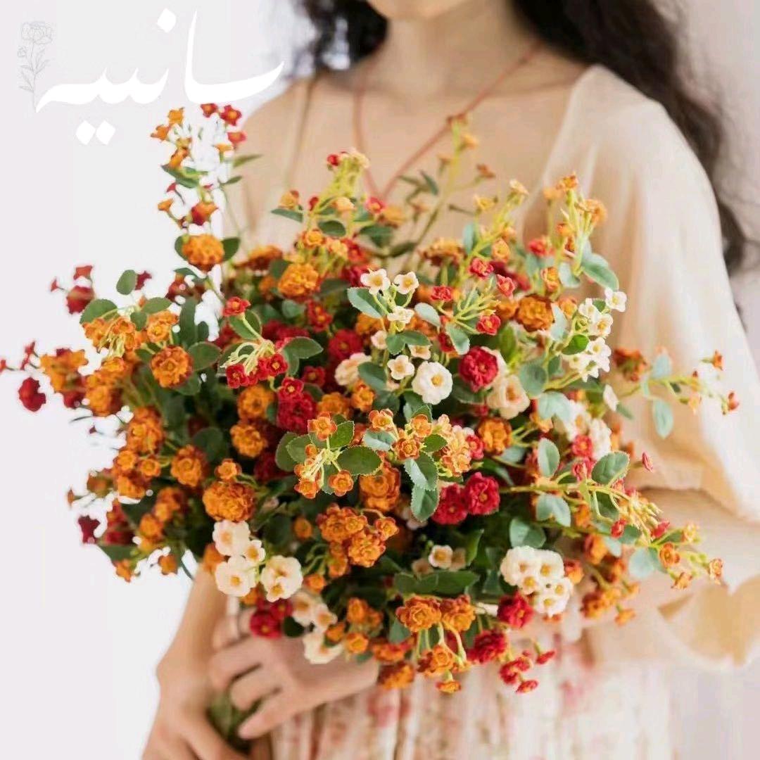 filiz  _伴手礼🛍️