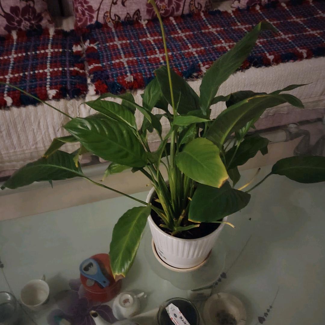 相知相惜一切都美好