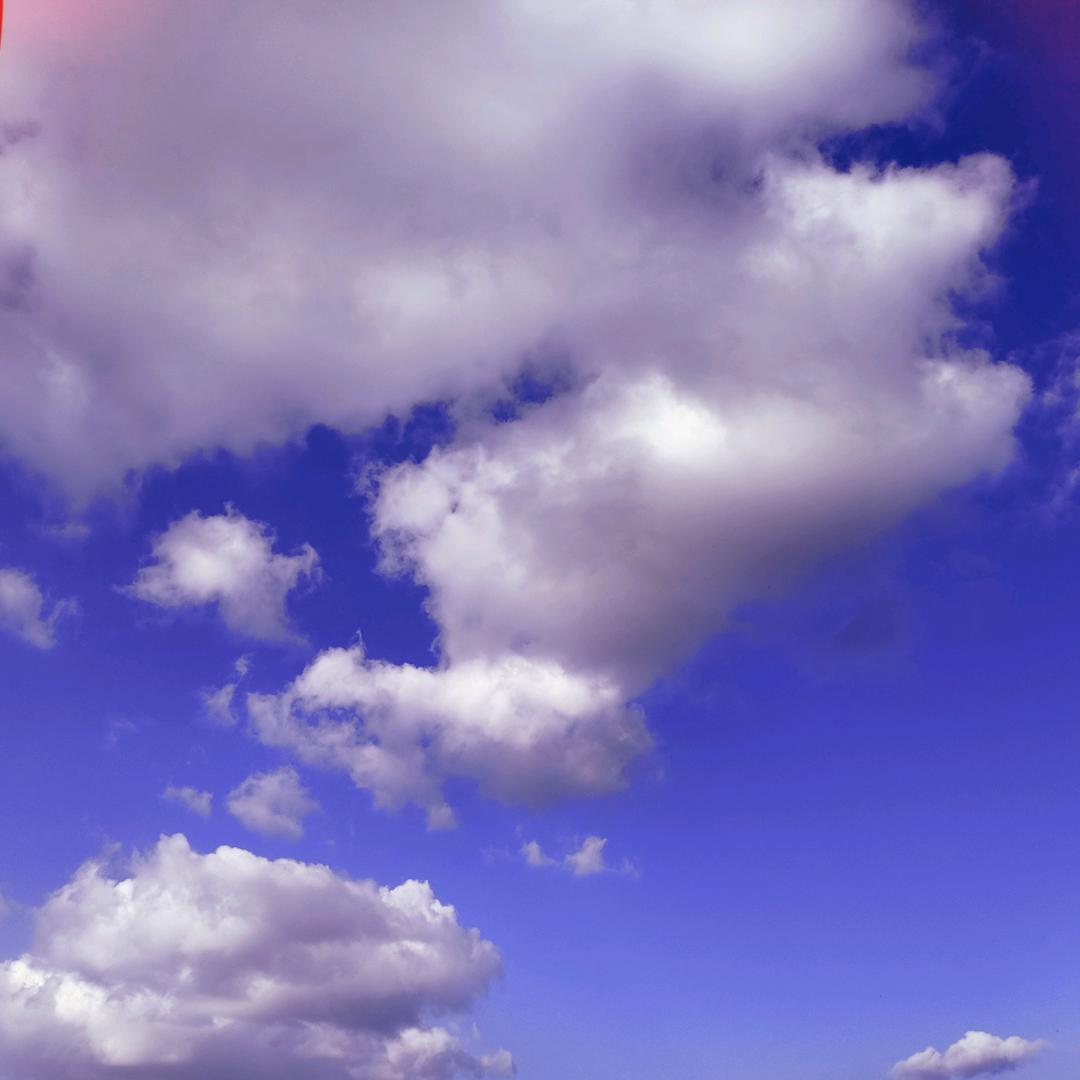 🌾如影随形🔮