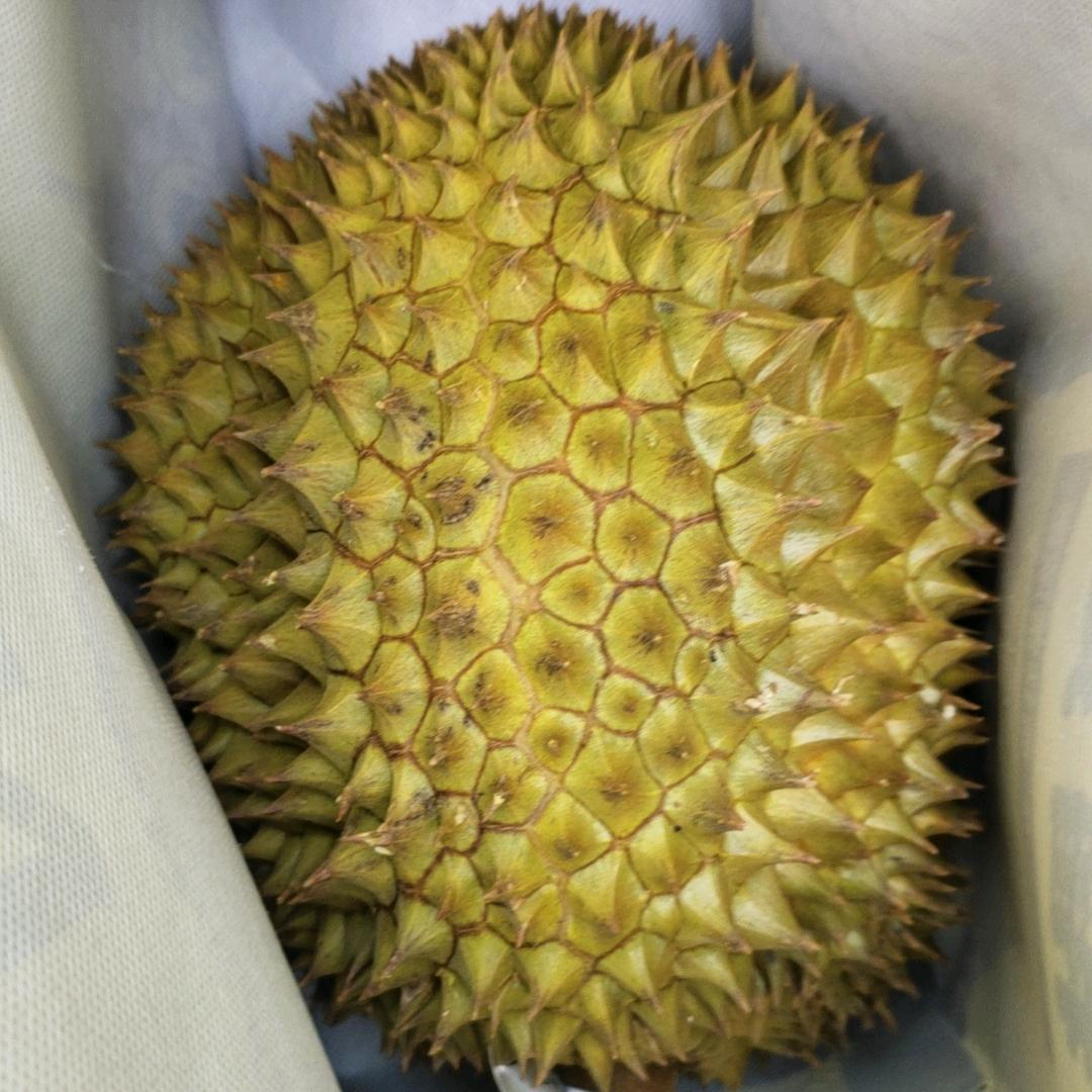 胜