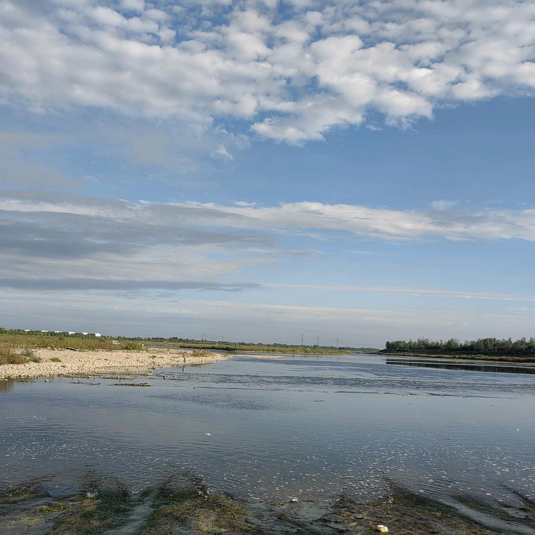 太阳☀️当空赵