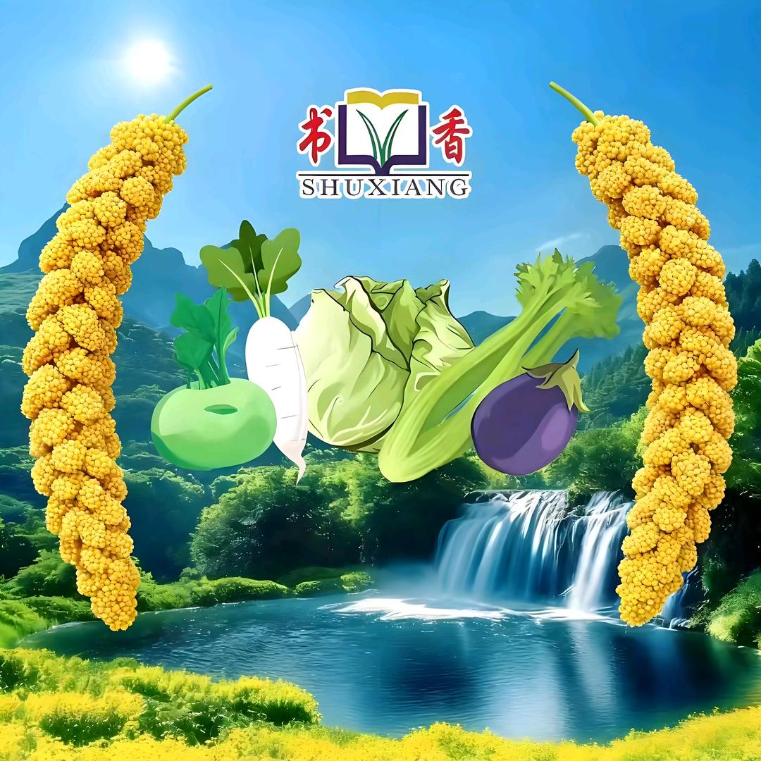 🌈🌈守望相助🌈🌈