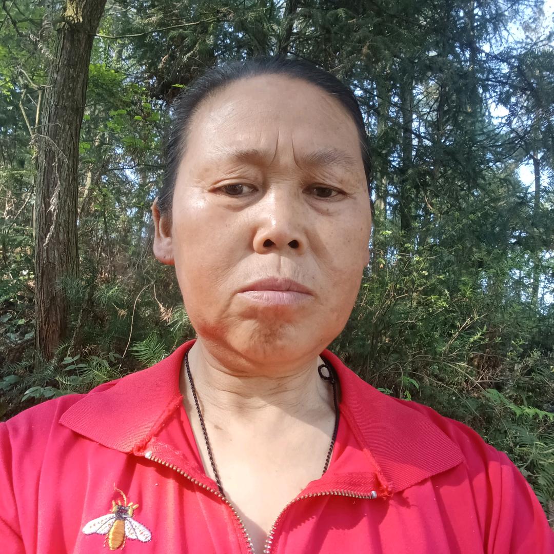 魏忠仙