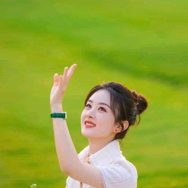 春天里的小燕子