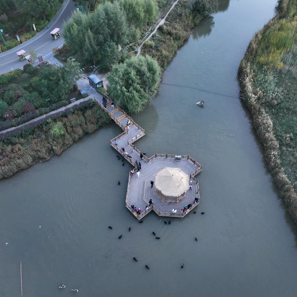 我是用户哈哈哈