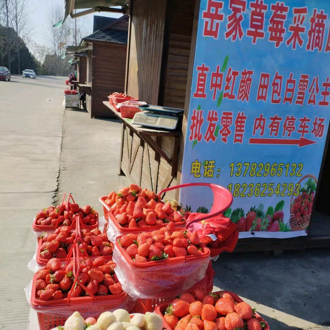 邬秀秀草莓园