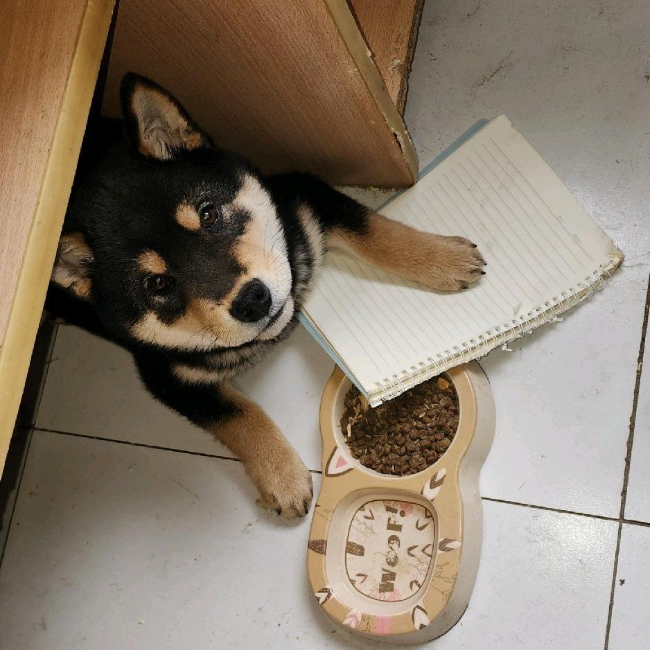 今天有做判断吗