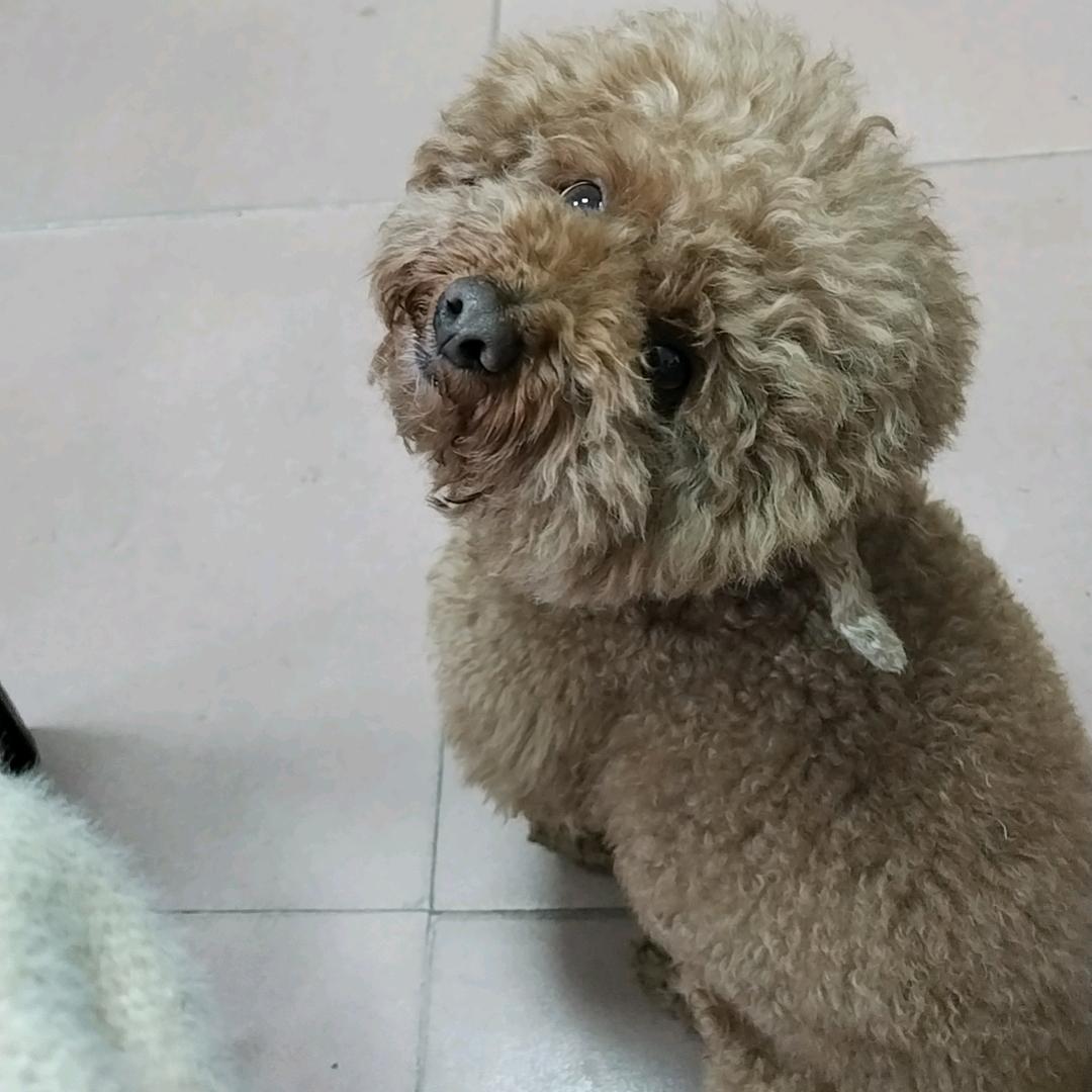 收你命的夜叉
