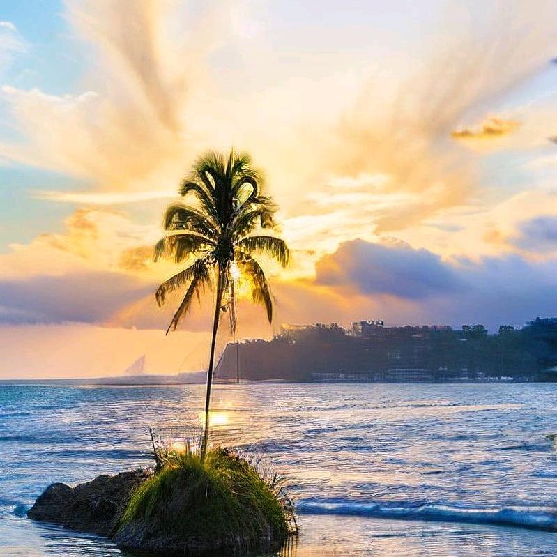 往事如夢🏝️