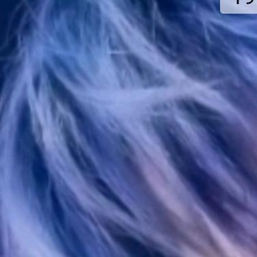 冰心姐3月8号下午3:10分