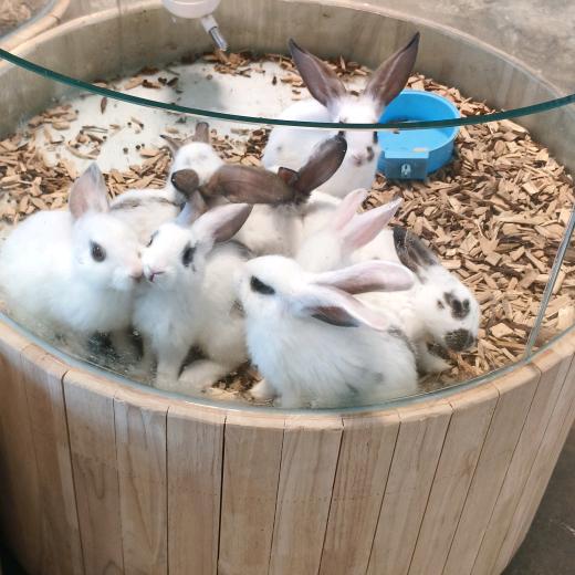 @ꕥ᭄多财💞多亿ꦿᩚ࿐: 💕: ❀͜