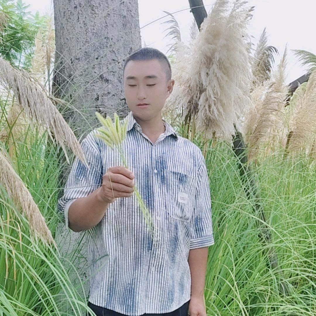 💎仧💫乆⚜️