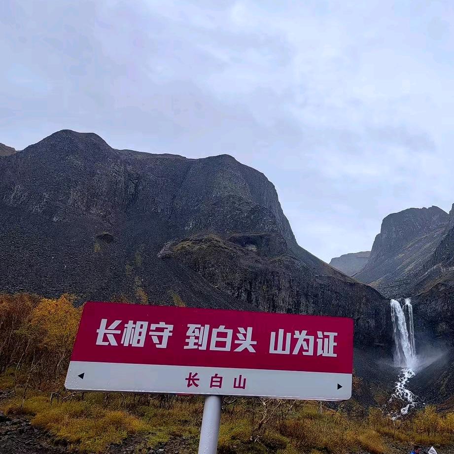 强哥说
