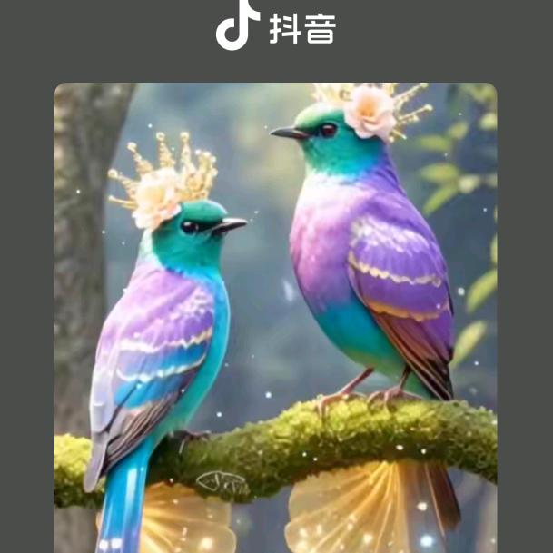 红柿子123