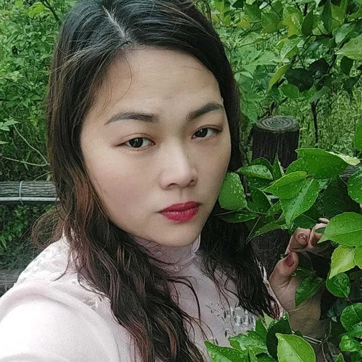 琪琪