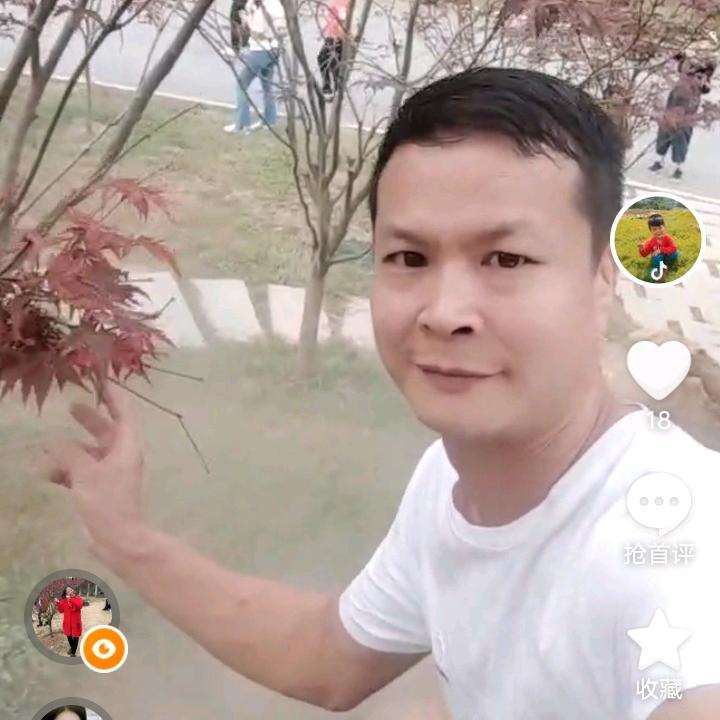幸福人生