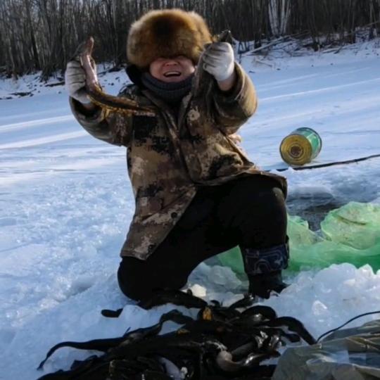 阿木尔兴安林场✨️大成子