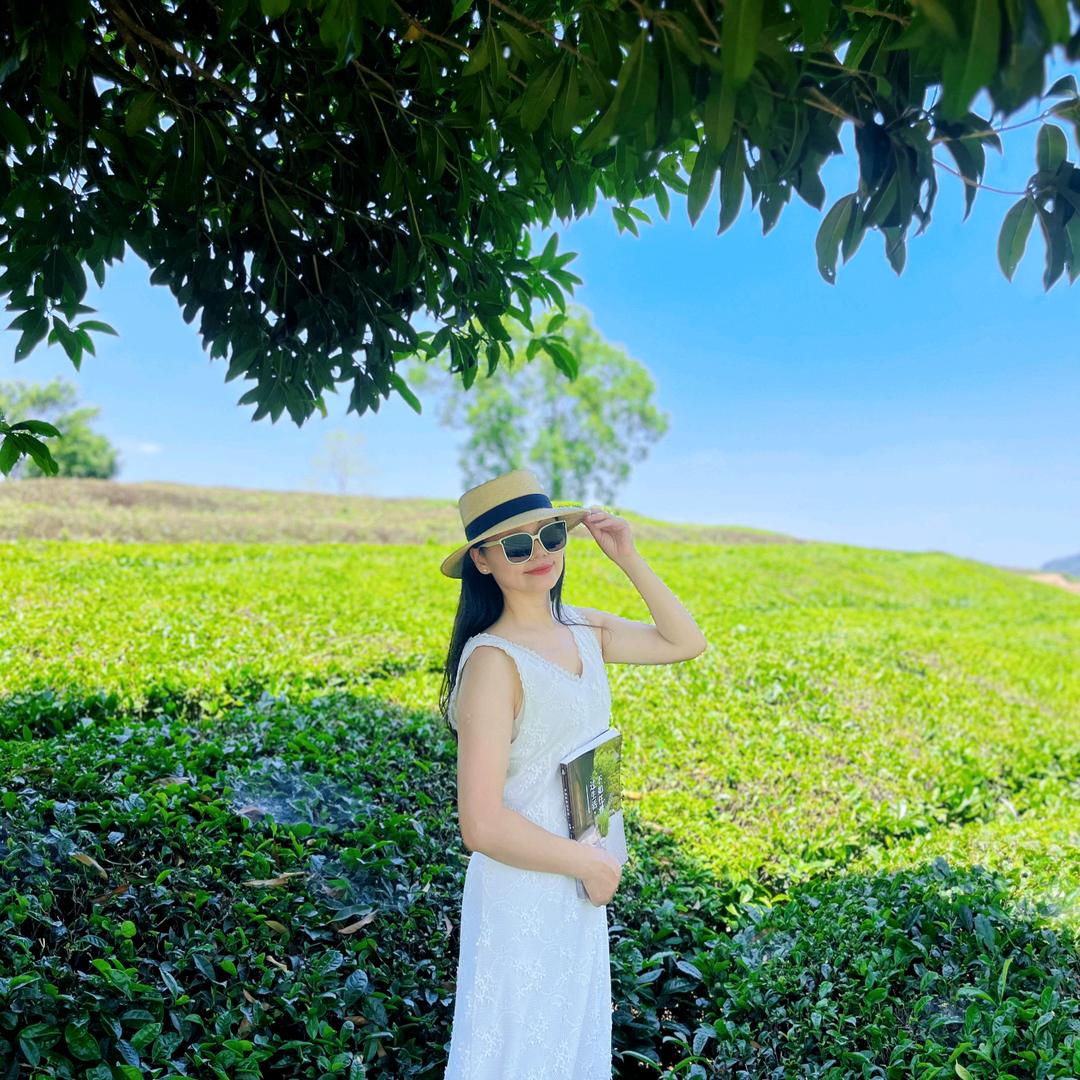一陌杨柳