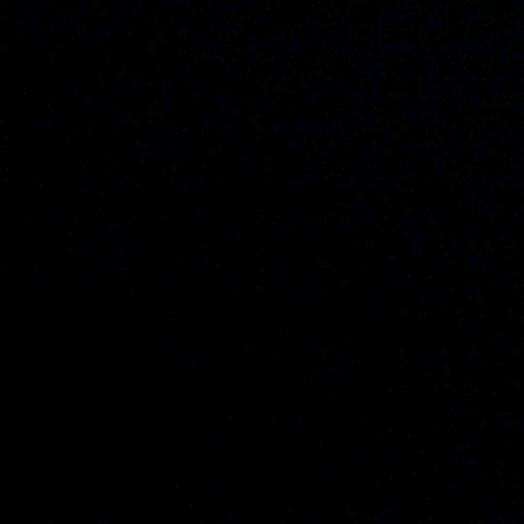 放生