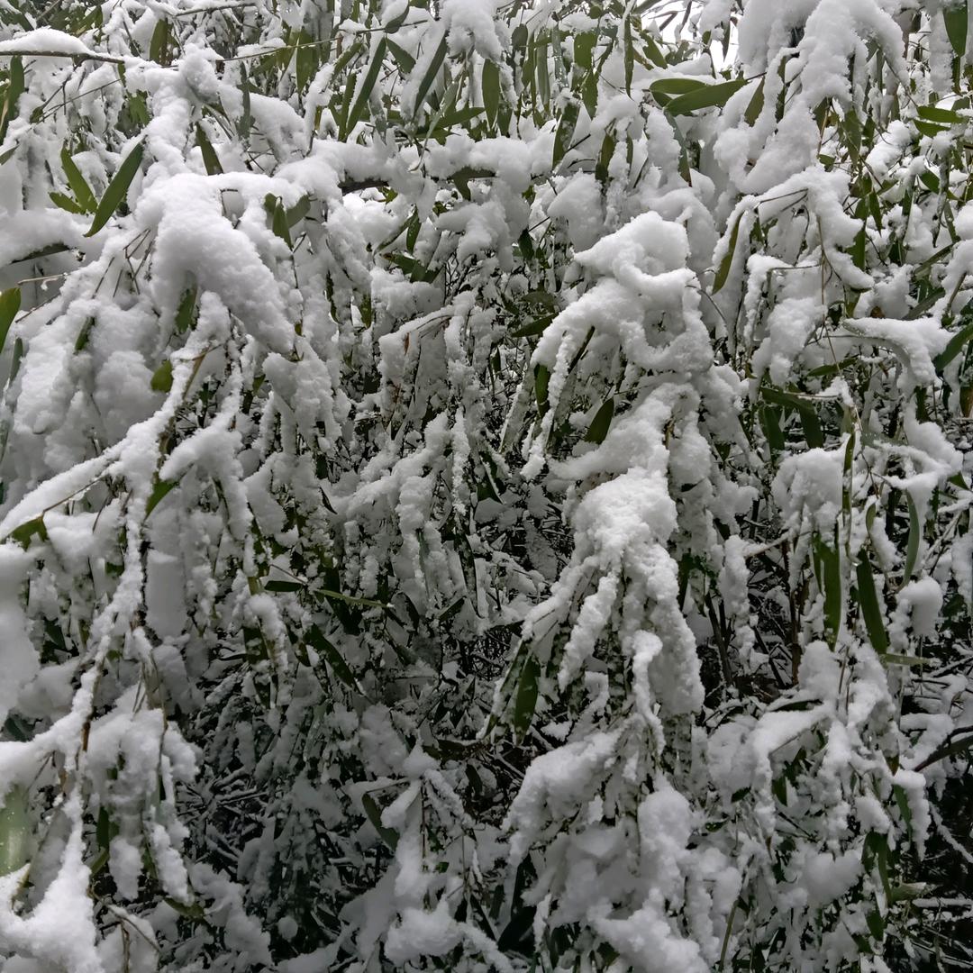 （郭扶菜市场下行）
