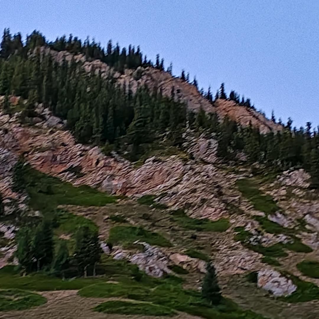 往惜忆竟裳（陌生人拒绝私聊）