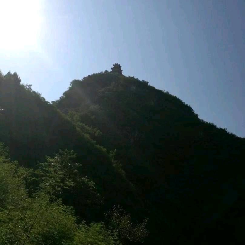锦鲤护体
