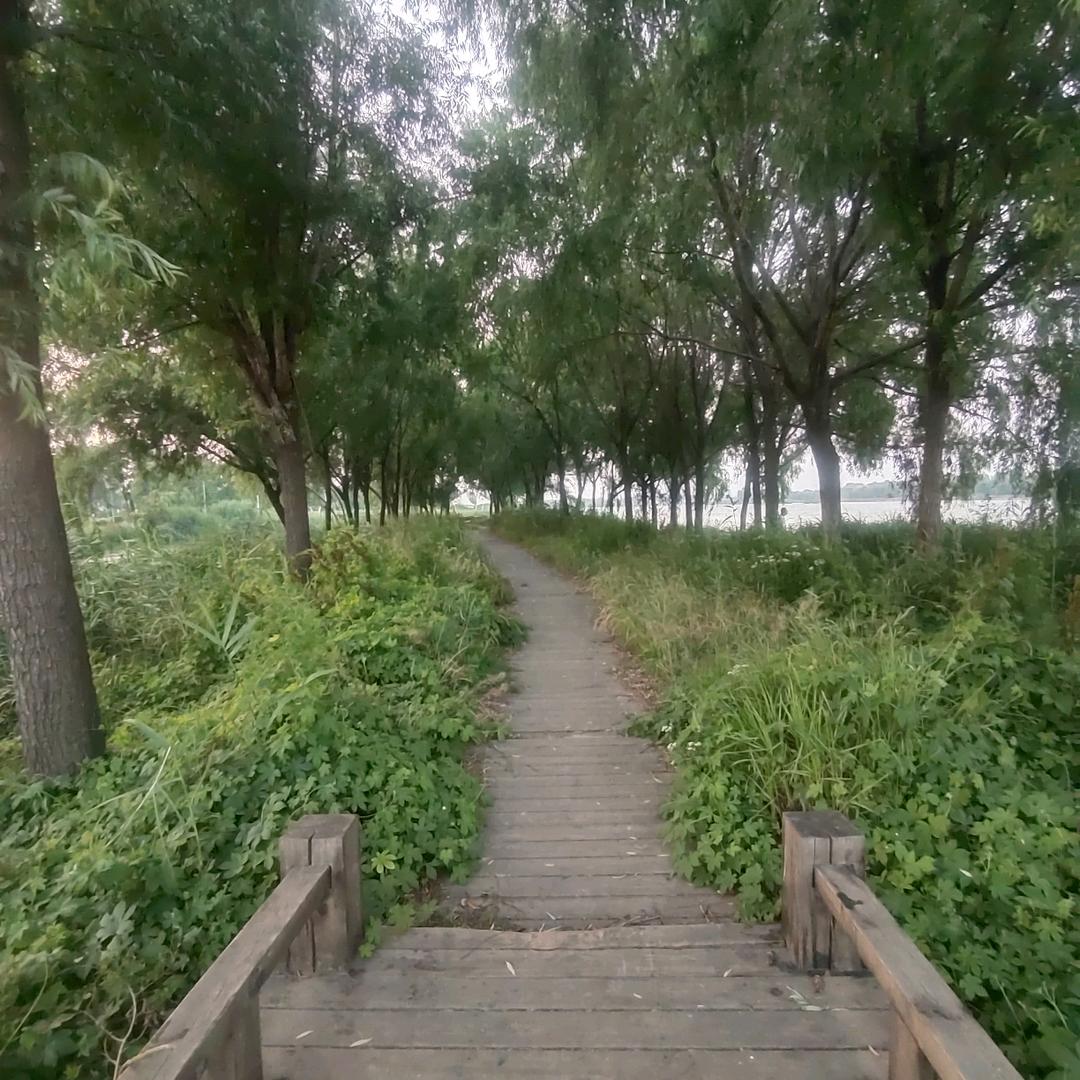 气象三哥